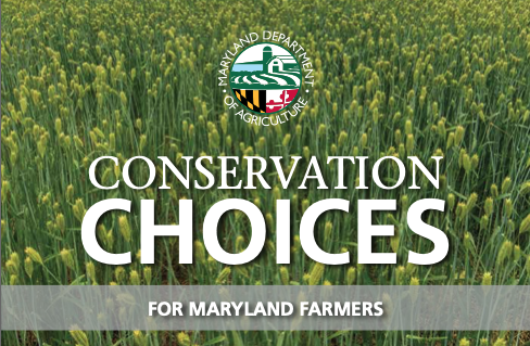 Conservation Choice